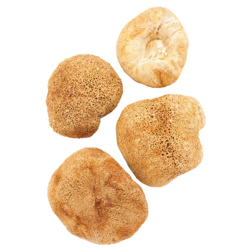 HAWLIK Bio Hericium (Lion´s mane) getrocknet - 250 g