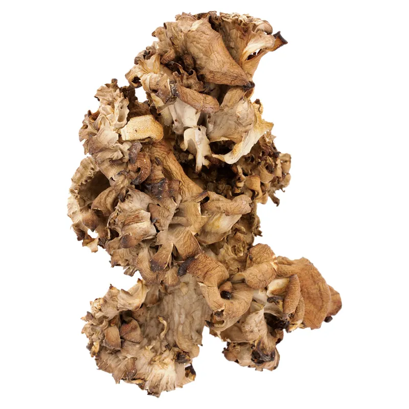 HAWLIK Bio Maitake getrocknet - 250 g