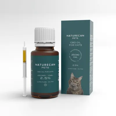 CBD Öl für Katzen - 10ml